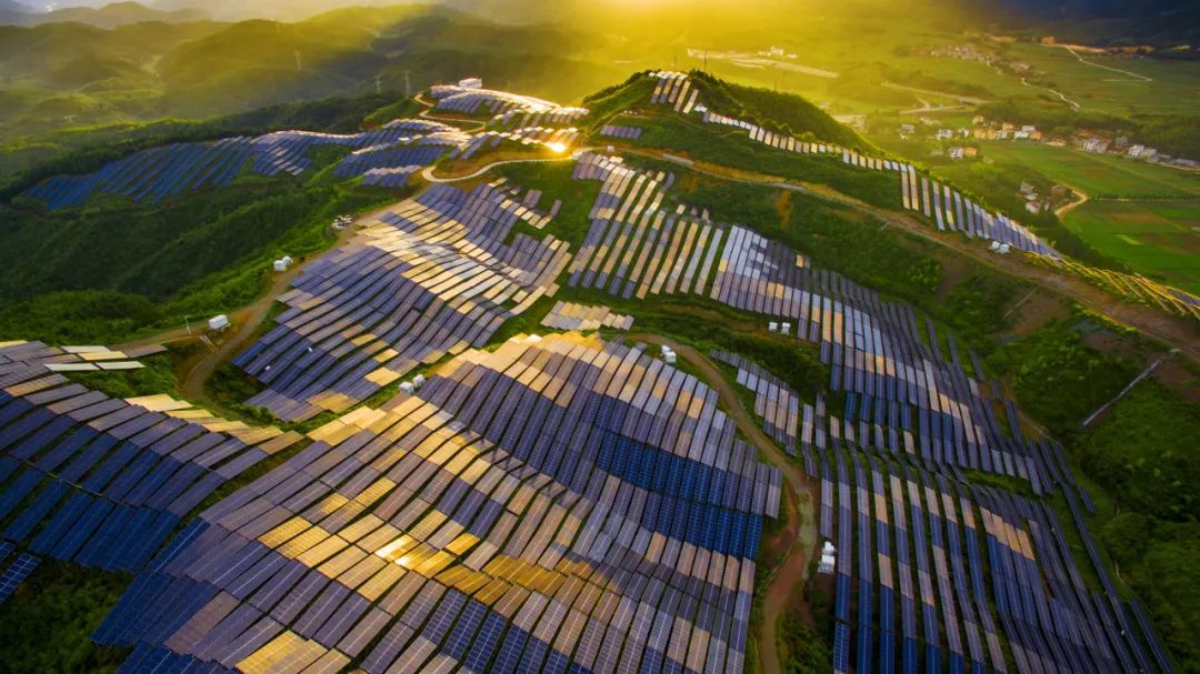 202507292e7866ba7f9f4c8ab0ae3d118684b9a3